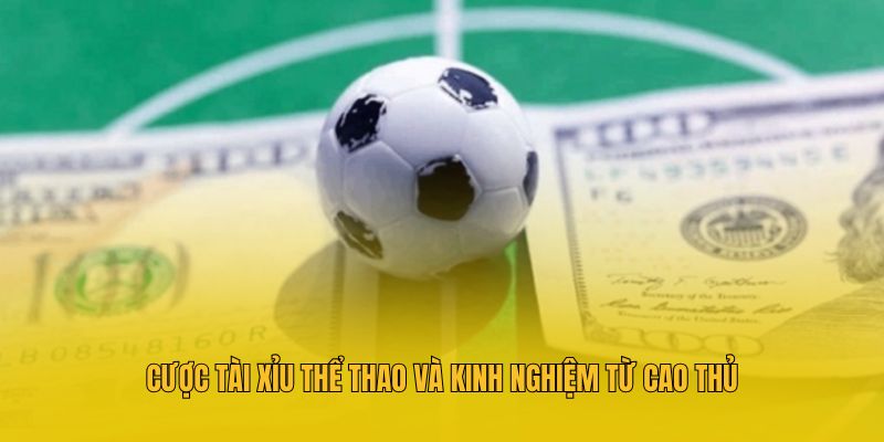 Cược tài xỉu thể thao và kinh nghiệm từ cao thủ